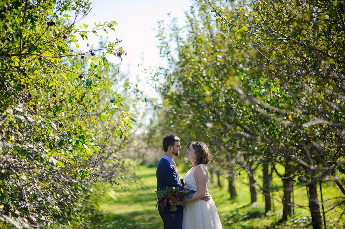 Bride and groom photos in the Sutliff Cider orchard