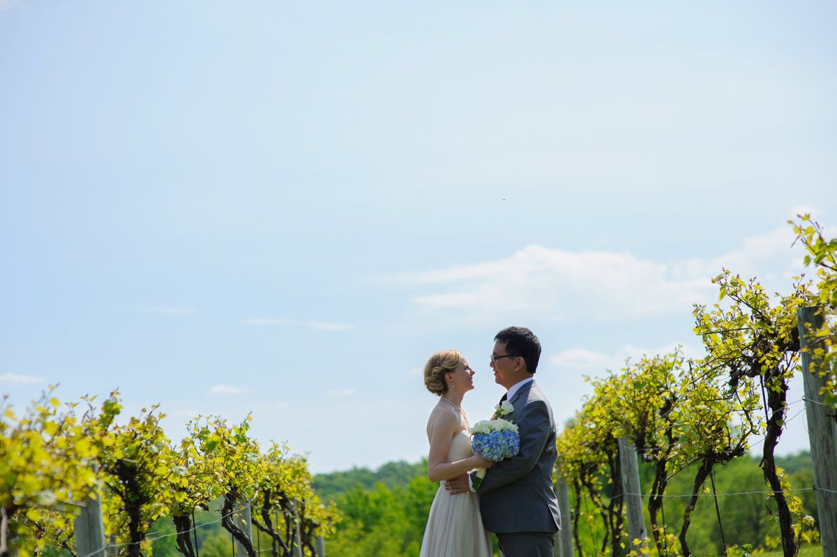 Portrait of the bride and groom in the vineyard 